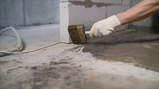 Top rated local Crawl Space Encapsulation specialists in Lancing, TN
